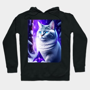 Sparkling British Shorthair In Snowy Forest Hoodie